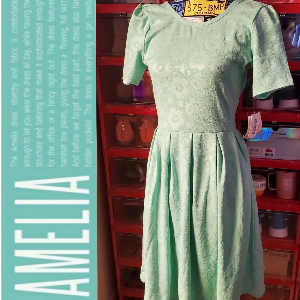 NWT SMALL LULAROE AMELIA DRESS MINT GREEN